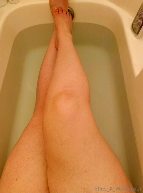 shes a wallflower star nude img