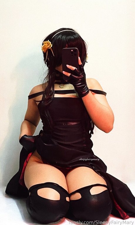 SleepyFairyMary Profile pic