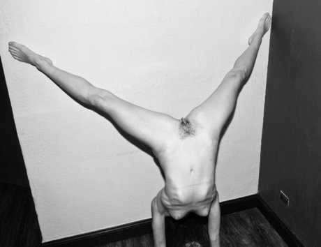 MissMacaroni free star image