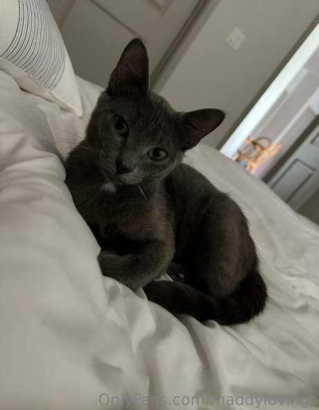 maddylovings exclusive model img