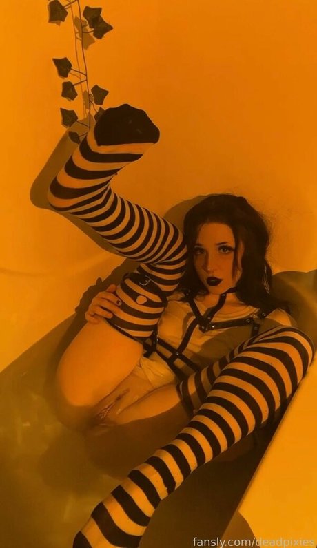 deadpixies star high quality img