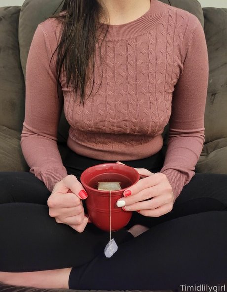 Timidlilygirl erotic pornstar archive