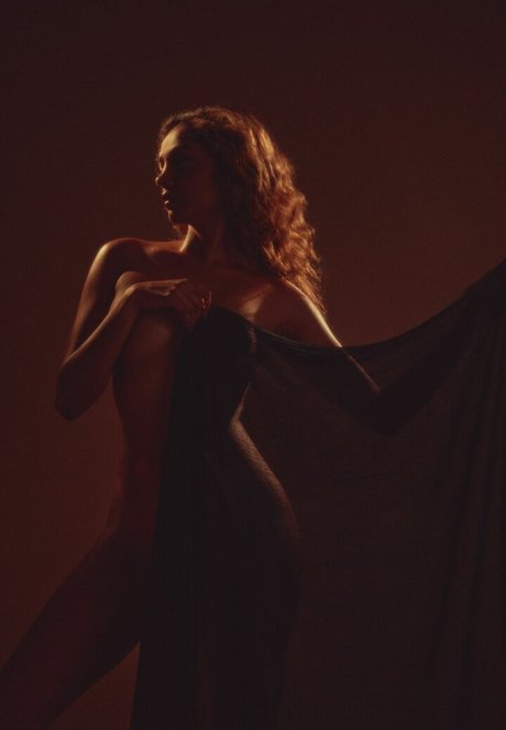 pbnjasonsammich pornstar high quality gallery