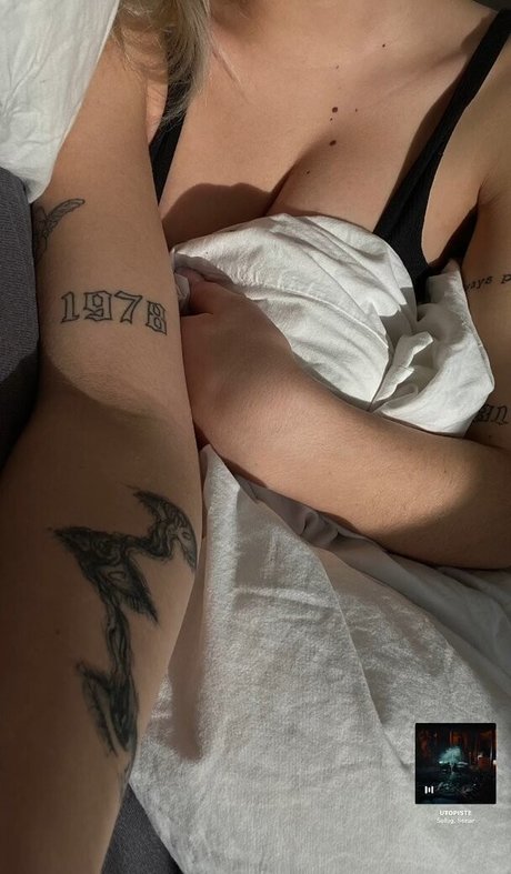 linemettler star gallery