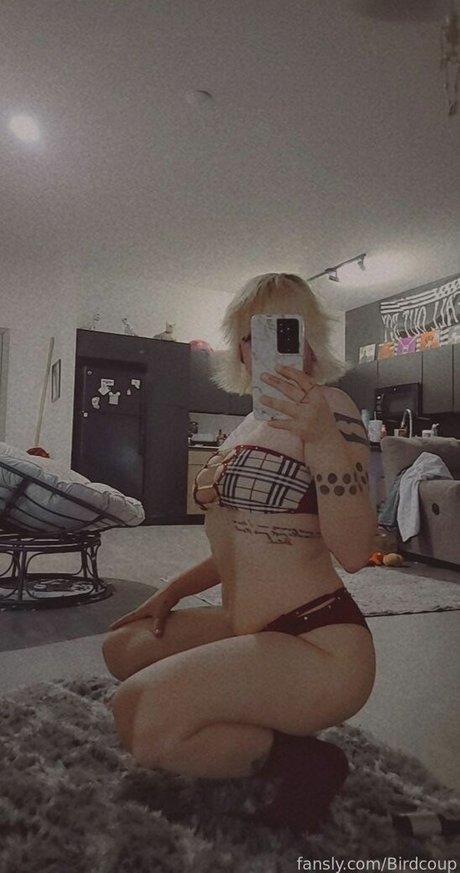 Coophound star nice photo