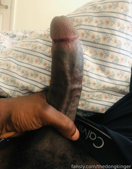 thedongkinger star high quality gallery