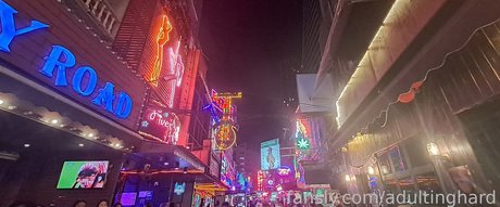 adultinghard star archive