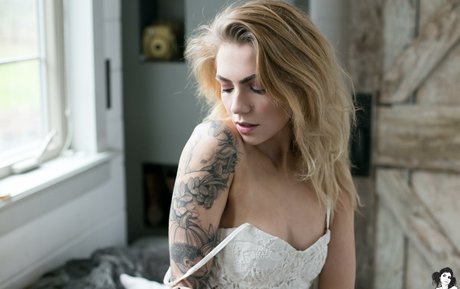 Teeth Sg adult model pictures