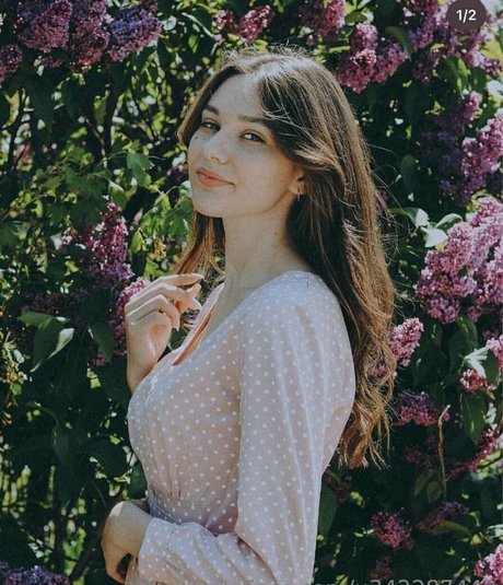 jessy shine erotic pornstar photo