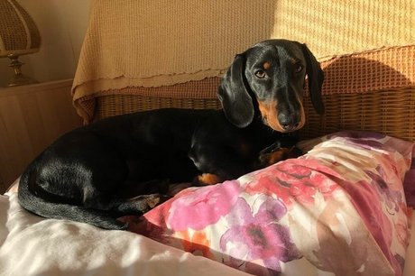 down onlyfans hd image