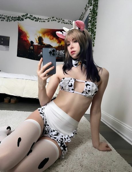 Berriwi best star images