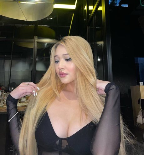 didaenerys star art image