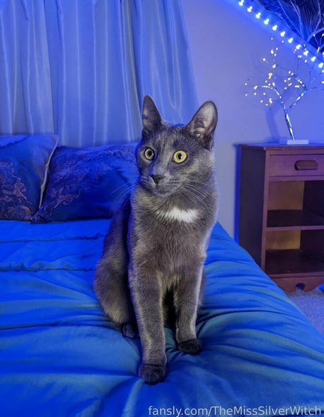 TheMissSilverWitch model pornographic pics