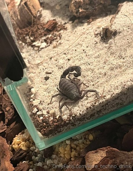 sco000oby girl model sex images