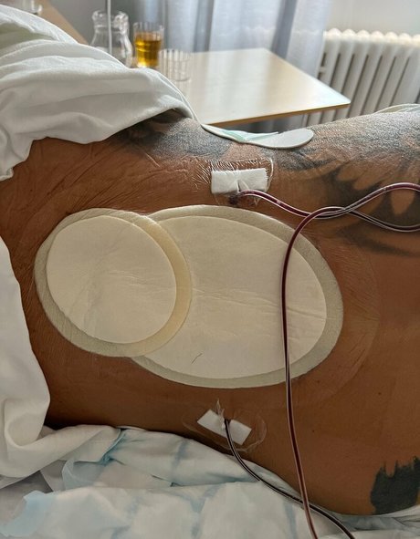 alpheratz pornstar perfect archive