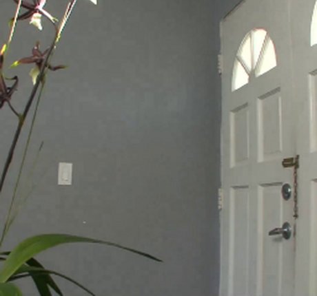 Tiffany Tyler free actress galleries