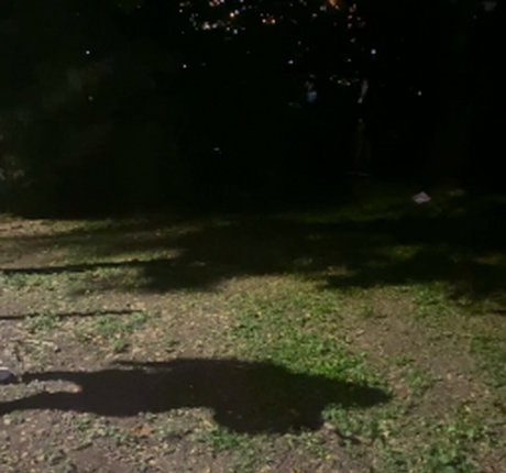 FresaMejia model top gallery