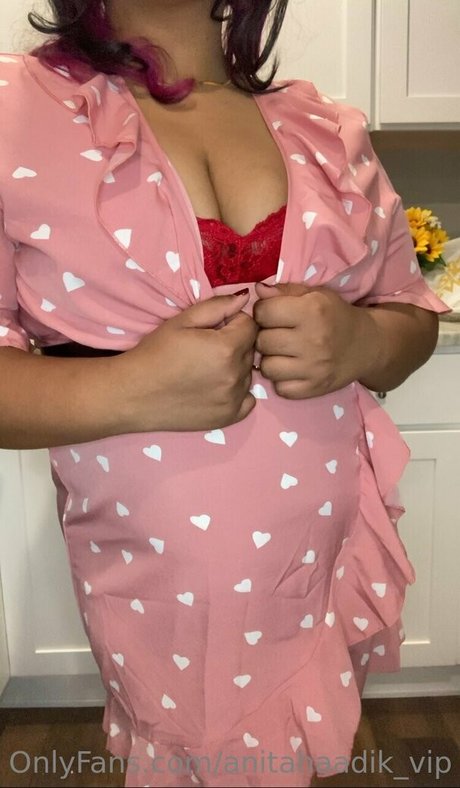 anitahaadik vip adult star image