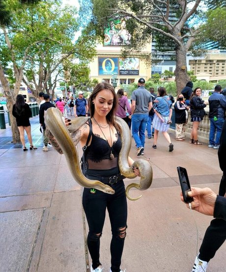 Jessica Kent pornographic star gallery