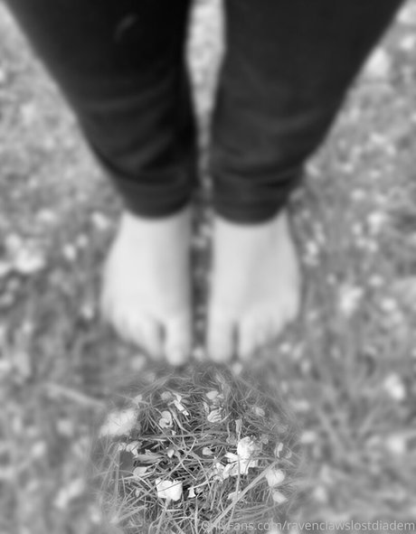 ravenclawslostdiadem star top pic