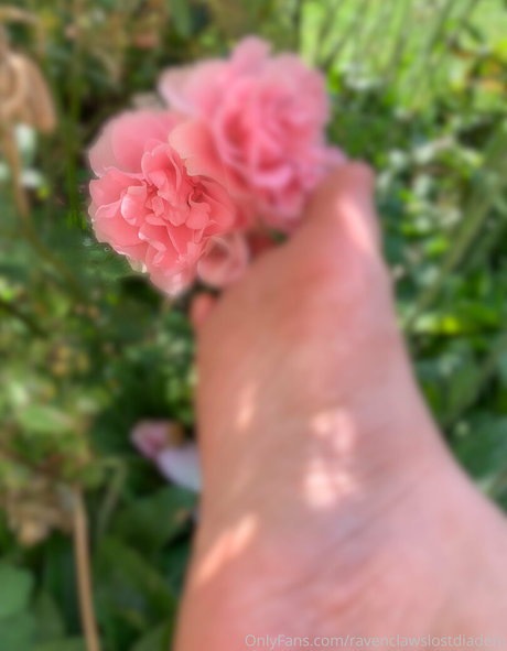 ravenclawslostdiadem star pretty gallery