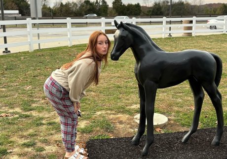 hailei k art pornstar picture