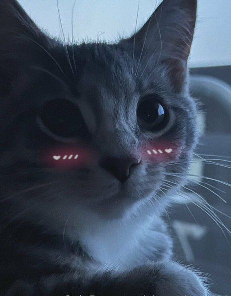 alexa dream01 pornstar exclusive pics