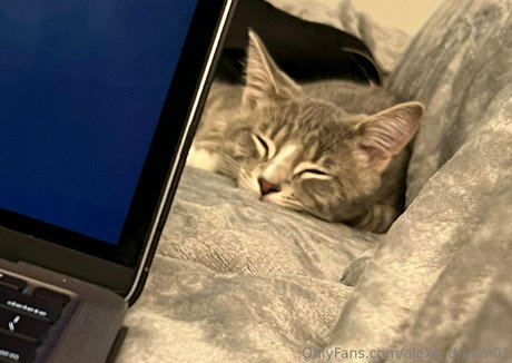 alexa dream01 Profile pic