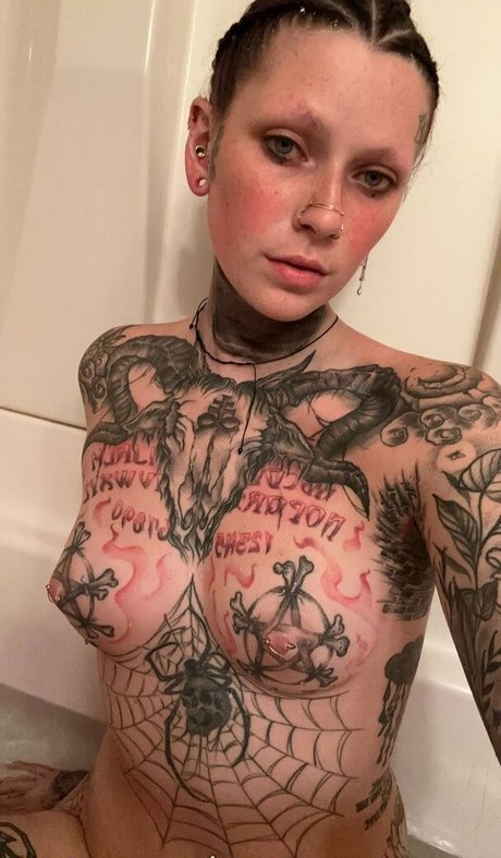 spider legs star adult picture