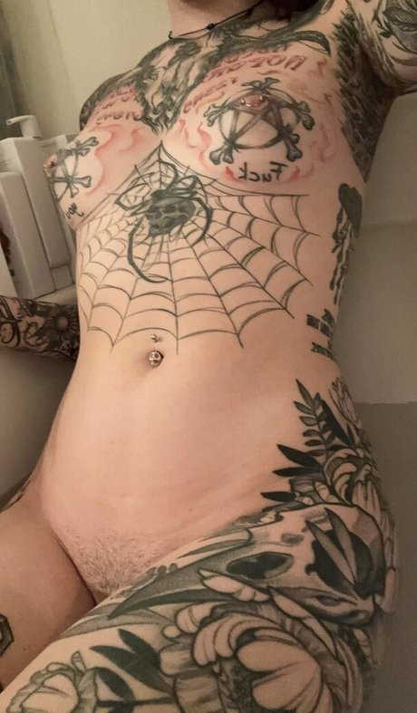 spider legs high quality star image