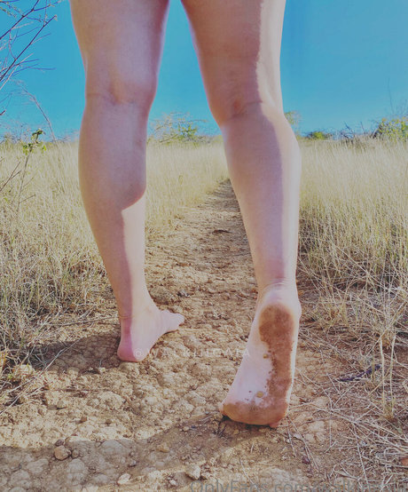 walkingaia star free photos