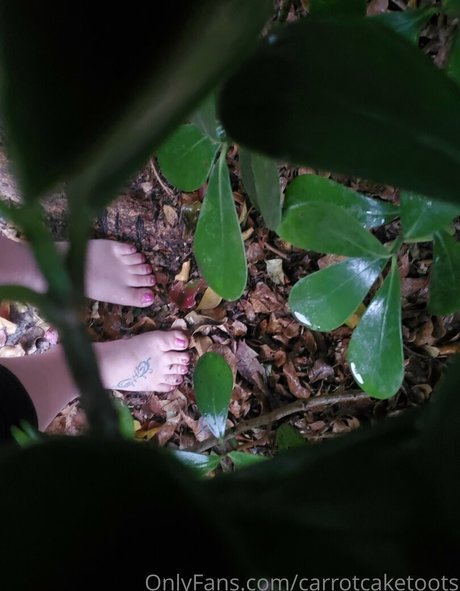 carrotcaketoots free star archive