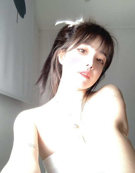 plppt123 perfect model image