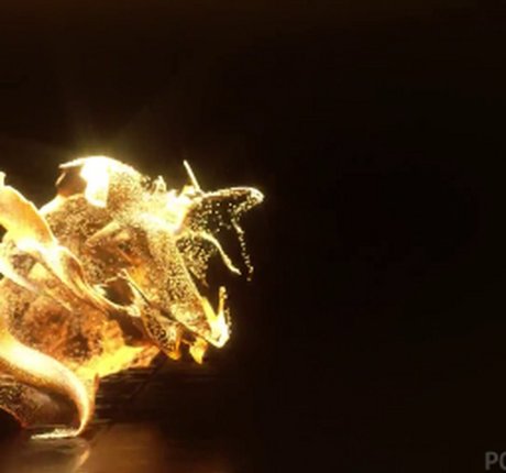 Cheyla Collins nudes actress pictures