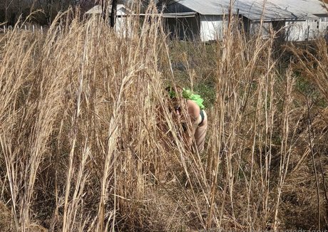 madamedragnir high quality star image