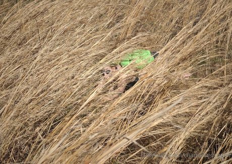 madamedragnir beautiful actress picture