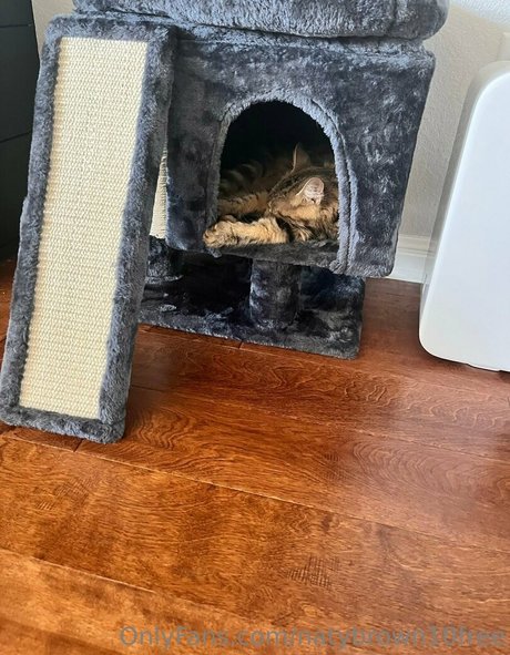 hottest nude onlyfans free naked galleries