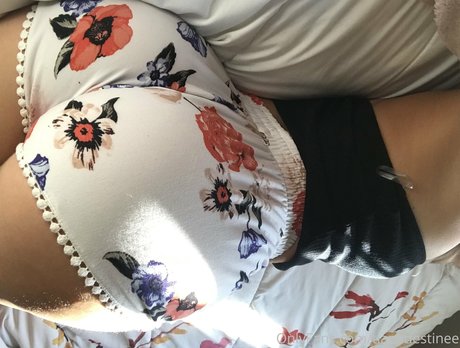 tianadestinee xxx model galleries