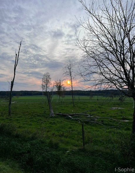 i sophie model adult images