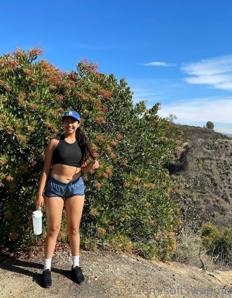 softswapme xxx model image