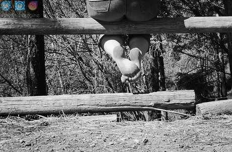 shelbymustaine top star image