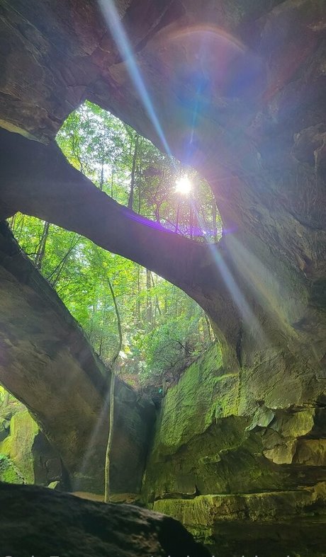 pinkplushieplants pornstar nude archive