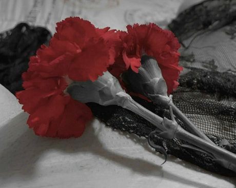 hollyfree nude star photo