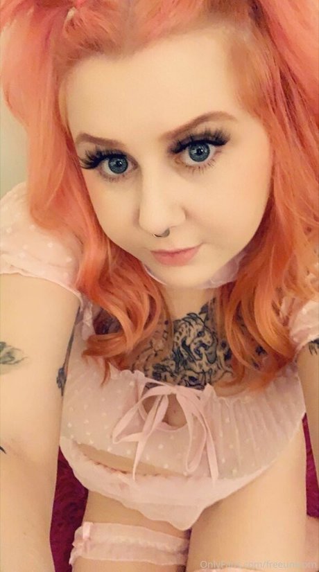 climbmickeymountain star hd picture