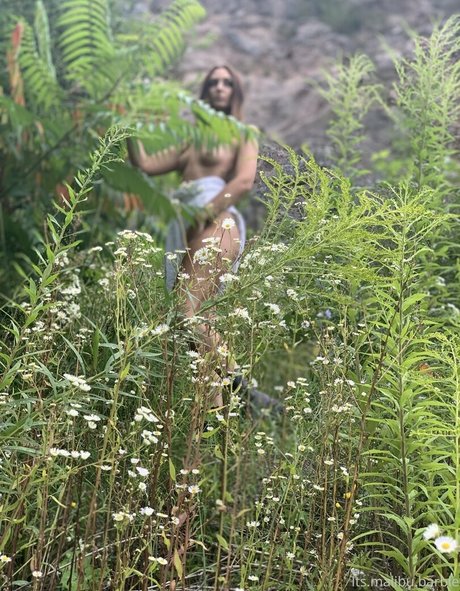 malibu barbie xx perfect star gallery