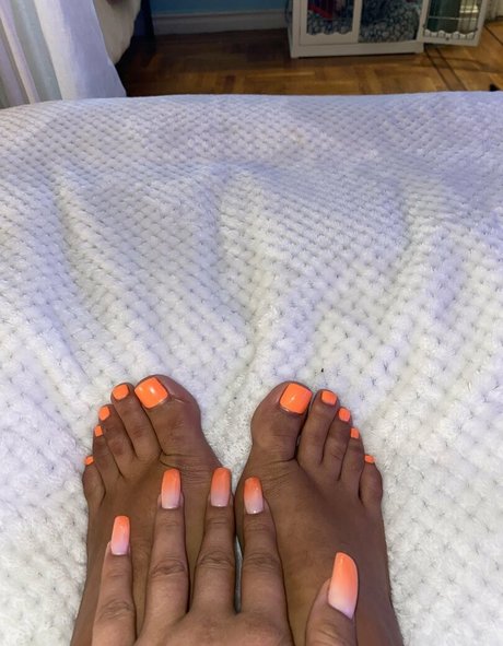 tslaurencox pornstar photo