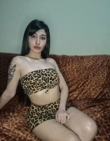 gilady star best gallery