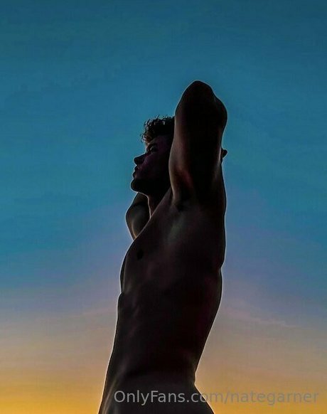 nategarner model free archive