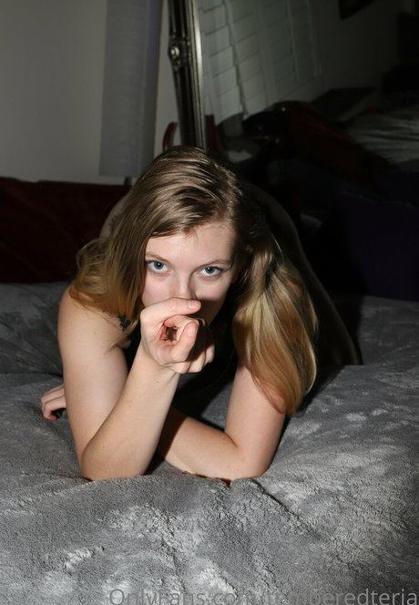 temperedteria hd star archive