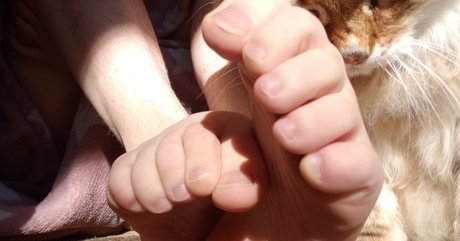 softcorekittyx star sex images